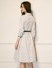 Load image into Gallery viewer, Delicate Colours Dress